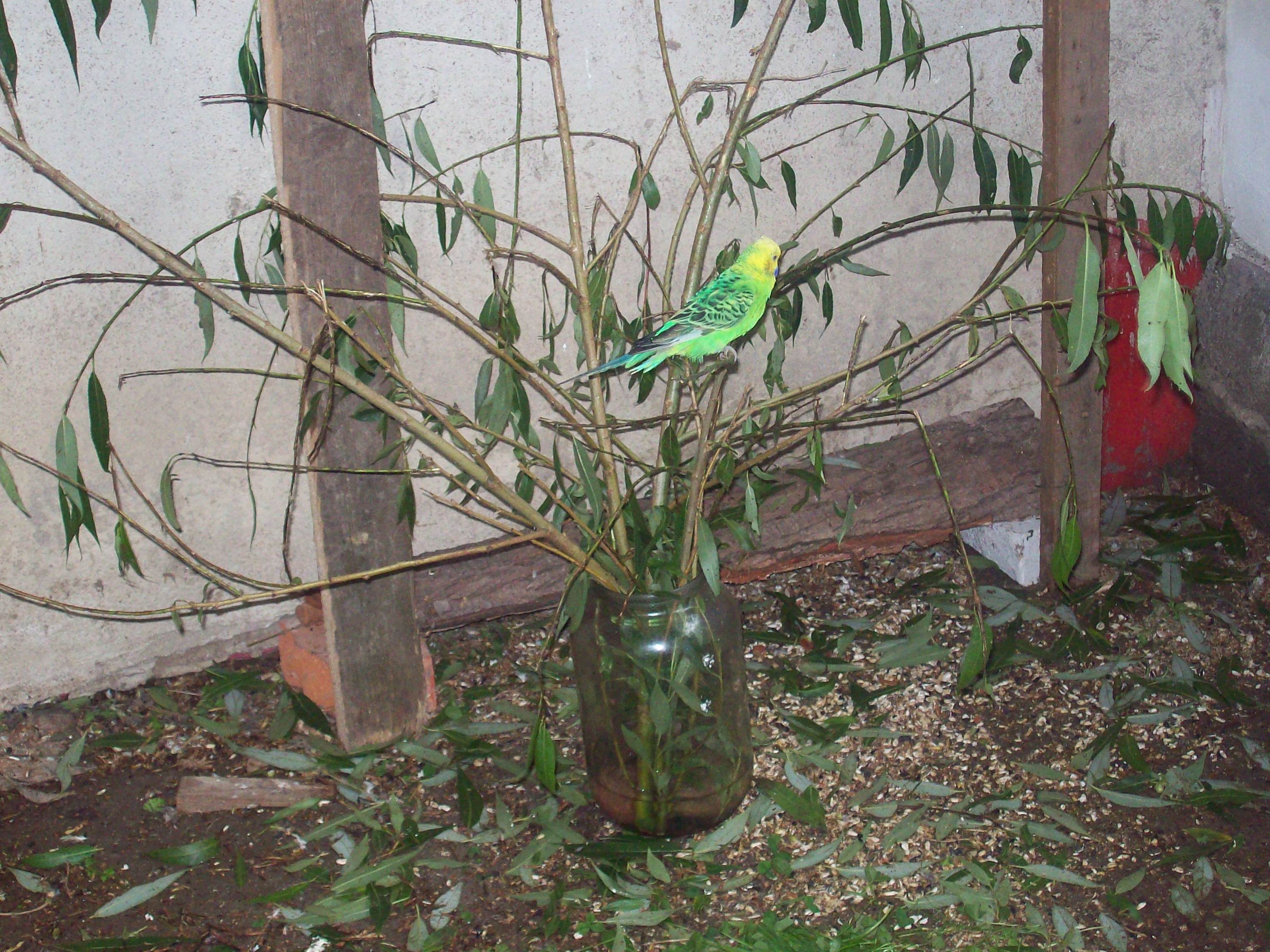 andule 096.jpg