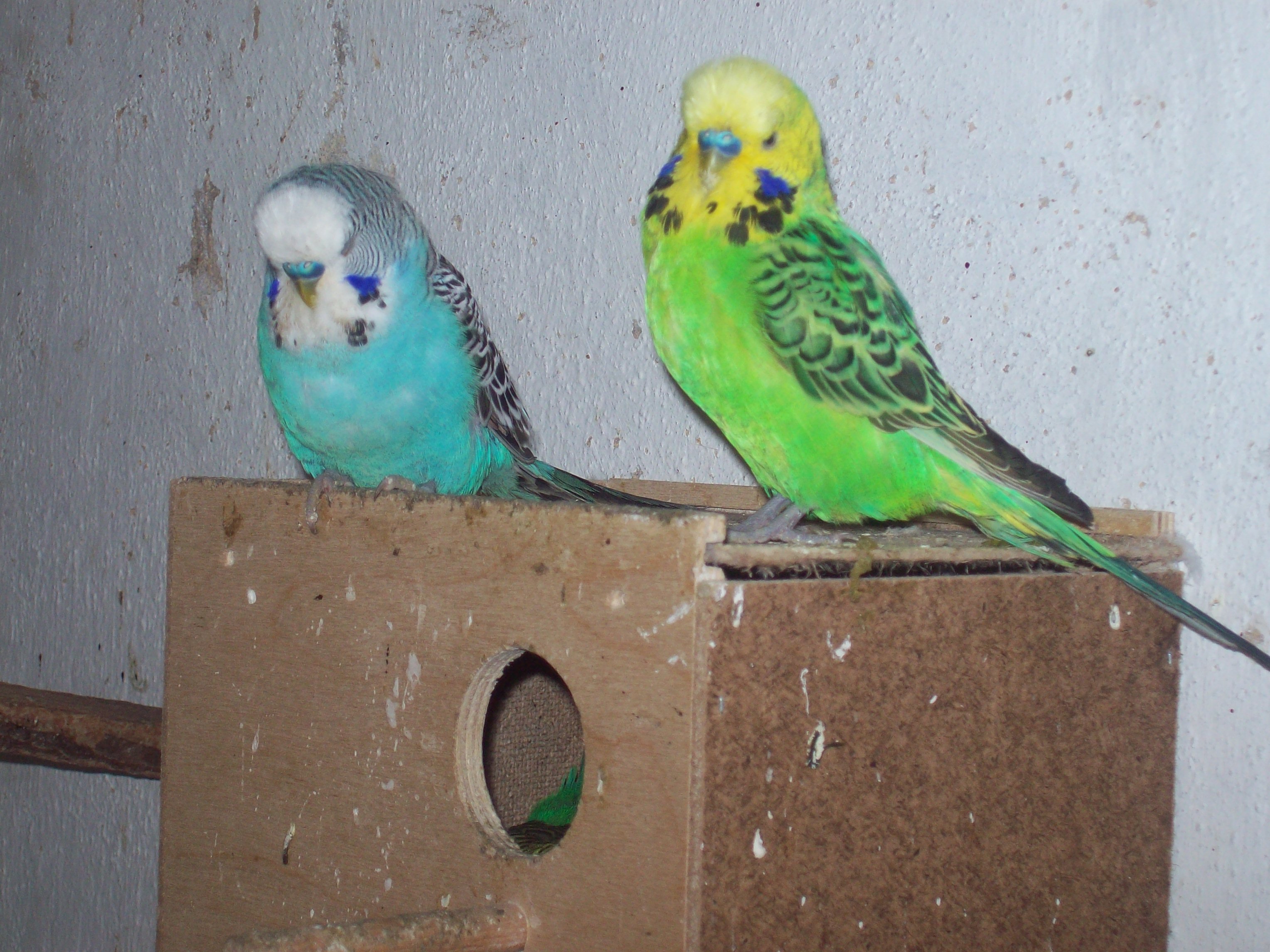 100_2704.jpg